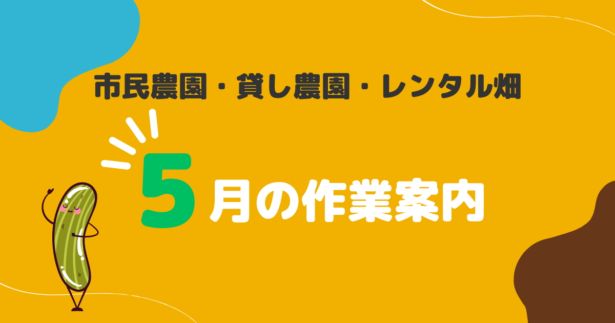 ミニトマトの「仕立て」とは？ 〜二本仕立てと一本仕立ての違い〜